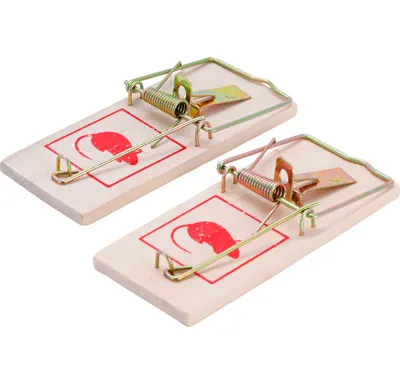 BGS Pasti na myši,  2 pcs.
