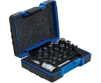 BGS Bity 1/4" TORX plus TP10-TP60, sada 23 dílů (1)