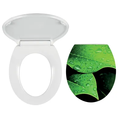 NOVASERVIS WC sedátko, duroplast bílá, panty tvrzený plast - WC/SOFTNATURE