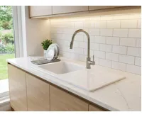 Reginox Modena 1000.0 White pure (18)