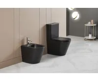 SAPHO PACO WC kombi, Rimless, spodní/zadní odpad, černá mat (15)