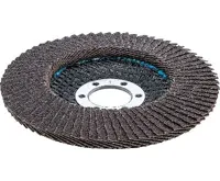 BGS Kotouč brusný lamelový,  O 115 mm, K 60 (1)