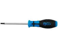 BGS Šroubovák T-profil T27 x 100 mm,1/4" vnitřní čtyřhran BGS Šroubovák T-profil T27 x 100 mm,1/4" vnitřní čtyřhran