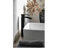 SAPHO GINKO 25 stojánková umyvadlová baterie vysoká, černá mat (4)