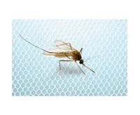 HomeLife Okenní síť proti hmyzu 130x150cm, bílá (1)