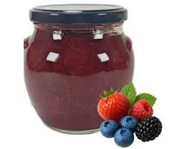 MADAMI s.r.o. Šťavnatý čaj Lesní směs 500g (1)