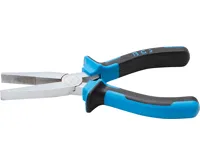 BGS Kleště ploché, 160 mm BGS Kleště ploché, 160 mm