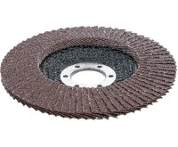 BGS Kotouč brusný lamelový,  O 115 mm, K 80 (1)