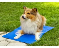 ProPet Chladicí podložka pro psy a kočky 50 x 40 cm (1)