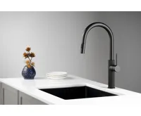 SAPHO FLAWO stojánková dřezová baterie s výsuvnou sprškou, černá mat (3)