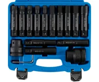 BGS Bity pro nákladní vozidla, 20 mm (3/4") + 25 mm (1"), 16dílná sada BGS Bity pro nákladní vozidla, 20 mm (3/4") + 25 mm (1"), 16dílná sada