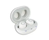 Platinium Osobní zesilovač zvuku dobíjecí Dual Plus 2 ks JH-A39