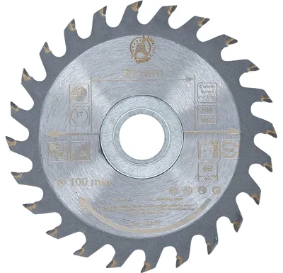 BGS Pilový kotouč ze slinutého karbidu, O 100 x 30 x 2,1 mm, 24 zubů - BGS 3949