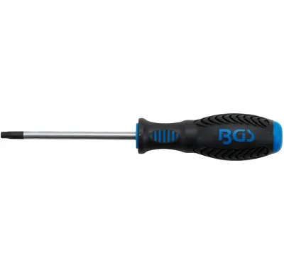 BGS Šroubovák, T-profil (pro Torx) s otvorem T30, Délka čepele 100 mm