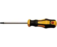 BGS Šroubovák pro T-profil T25, ze sady 107844