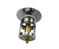 Výpusť uzavírací se sítkem CLIC-CLAC ø  5/4" celokovová chromovaná s přepadem, vytahovací (1)