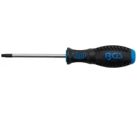 BGS Šroubovák, T-profil (pro Torx) s otvorem T30, Délka čepele 100 mm BGS Šroubovák, T-profil (pro Torx) s otvorem T30, Délka čepele 100 mm