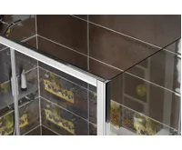 POLYSAN DEEP boční stěna 750x1650mm, čiré sklo (4)