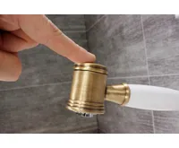 Chambord R202 se sprchou Chrom (18)