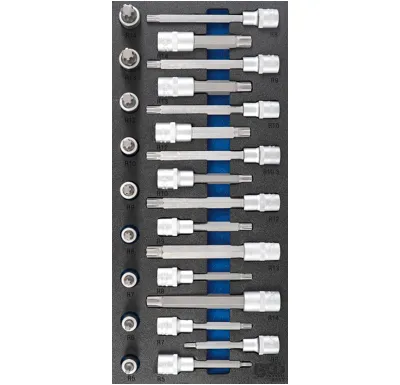 BGS Vložka do dílenského vozíku 1/3: sada nástrčných hlavic, klínový profil (pro RIBE), 25dí