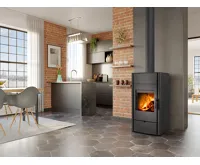 ROMOTOP Krbová kamna ESPERA 03 Plech s teplovodním výměníkem a dvojitým prosklením (2)