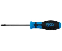 BGS Šroubovák, T-profil (pro Torx) s otvorem T25, Délka čepele 100 mm BGS Šroubovák, T-profil (pro Torx) s otvorem T25, Délka čepele 100 mm