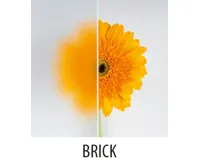 AQUALINE ARLEN čtvrtkruhová sprchová zástěna 900x900 mm, sklo Brick (9)