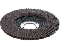 BGS Kotouč brusný lamelový,  O 115 mm, K 40 (1)