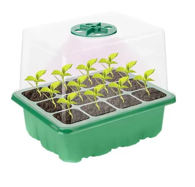 Garden King Minipařeniště s osvětlením 12 sazenic 18,5 x 15 x 14 cm set 5 ks