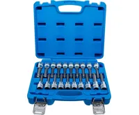 BGS Sada nástrčných hlavic,  hnací vnitřní čtyřhran 12,5 mm (1/2&quot;),  vnitřní šestihran, T-prof