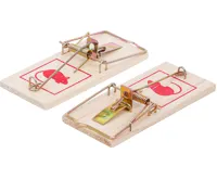 BGS Pasti na myši, 2 pcs. BGS Pasti na myši, 2 pcs.
