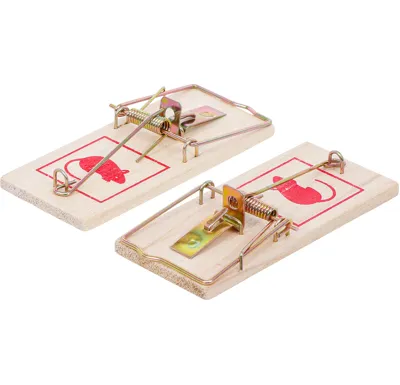 BGS Pasti na myši,  2 pcs.