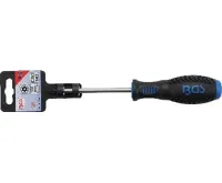 BGS Šroubovák, T-profil (pro Torx) s otvorem T30, Délka čepele 100 mm (1)