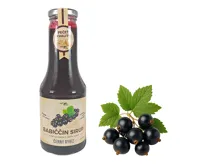 Nature NoTea s.r.o. Babiččin sirup Černý rybíz 0.5l Nature NoTea s.r.o. Babiččin sirup Černý rybíz 0.5l