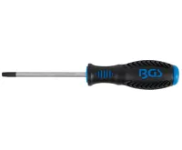 BGS Šroubovák T-profil T30 x 100 mm,1/4" vnitřní čtyřhran BGS Šroubovák T-profil T30 x 100 mm,1/4" vnitřní čtyřhran