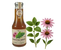 Nature NoTea s.r.o. Babiččin bylinný sirup Meduňka & Echinacea 0.5l Nature NoTea s.r.o. Babiččin bylinný sirup Meduňka & Echinacea 0.5l