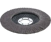 BGS Kotouč brusný lamelový,  O 125 mm, K 120 (1)