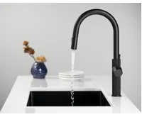 SAPHO FLAWO stojánková dřezová baterie s výsuvnou sprškou, černá mat (4)