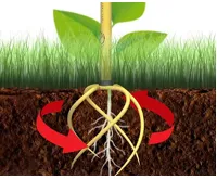 Delimano Tornadica Ruční kultivátor (3)