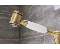 Chambord R202 se sprchou Chrom (15)