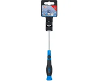 BGS Šroubovák plochý 3,0 x 100 mm, 6ti hranný dřík,1/4" vnitřní čtyřhran (2)