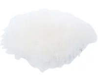 BGS Lešticí kotouč, O 75 mm - BGS 74479 BGS Lešticí kotouč, O 75 mm - BGS 74479