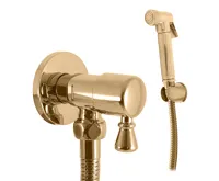 RAV Slezák Bidetová baterie ze zdi se sprchou - Stará mosaz, Barva: zlatá