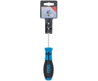 BGS Šroubovák T-profil T6 x 80 mm,1/4" vnitřní čtyřhran (2)