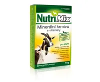 BGS Bit, délka 75 mm, pohon vnější šestihran 10 mm (3/8&quot;), T-profil (pro Torx) T60