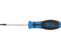 BGS Šroubovák T-profil T15 x 80 mm,1/4" vnitřní čtyřhran (1)