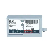 Plynoměr Premagas - Elster BK-G6 - rozteč 250 mm (1)