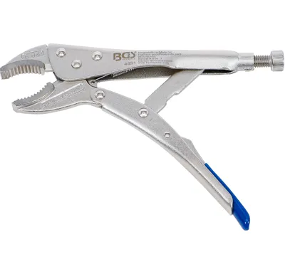 BGS Kleště grip 250 mm, s pojistkou